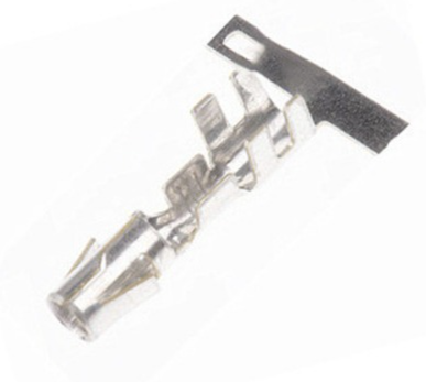 PP925714-1
